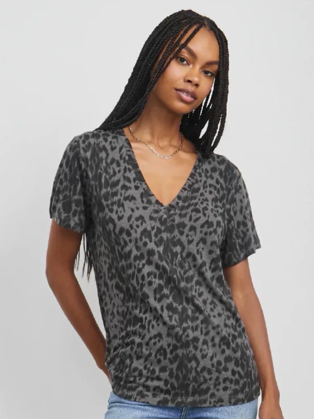 Rails Cara V-Neck Short Sleeve Tee in Umber Leopard Print